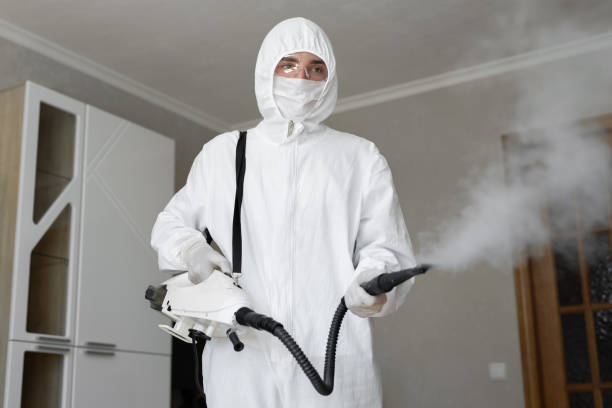 Mold Removal for HVAC Installations in Paul, ID